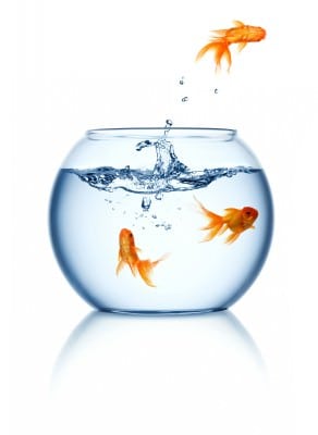 Les 6 clés de la liberté :