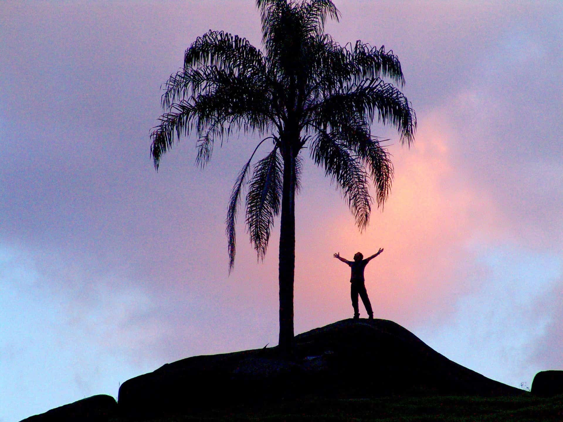 Ma définition du bonheur et comment l'atteindre