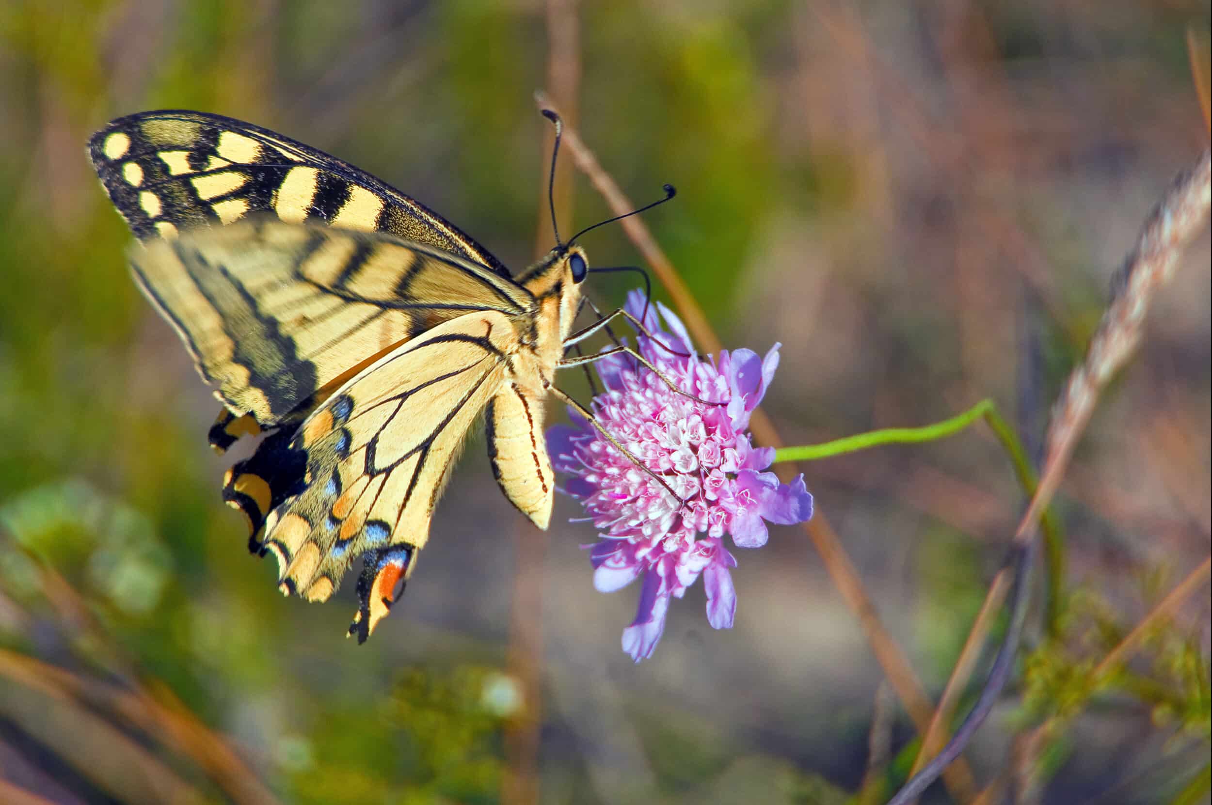 Que faites-vous aujourd'hui pour changer demain ?