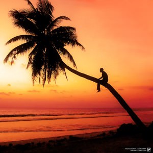 Avantages et inconvénients du travail à domicile