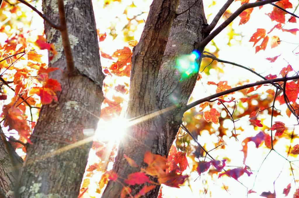 Comment attirer plus de succès dans sa vie ?