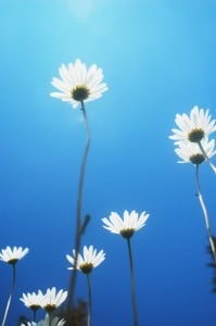 10 hacks pour améliorer votre santé (partie 2/2)