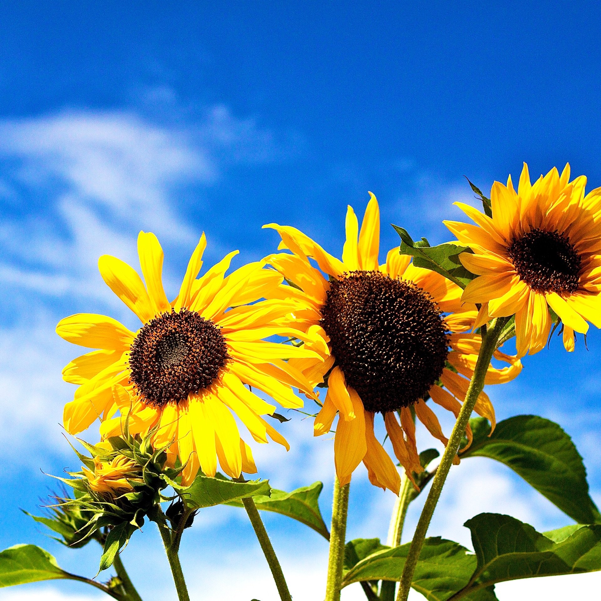 Qu'avez-vous fait en 2013 ? 3 articles pour mieux réussir :