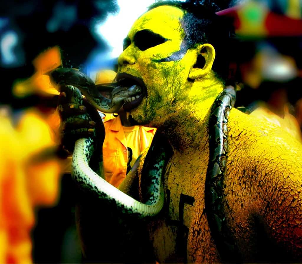 Vie extraordinaire : avez-vous une vie banale ?