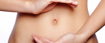 Le ventre, notre deuxième cerveau (1e partie)