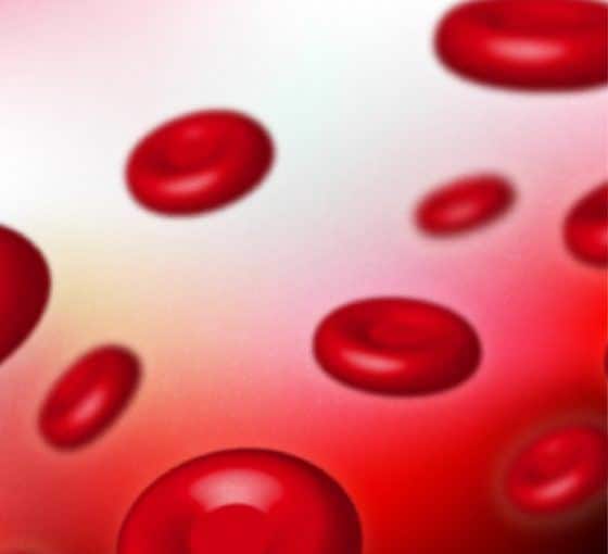 Renforcement des défenses immunitaires grâce à la douche froide