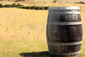 Avalez le crapaud de Brian Tracy 